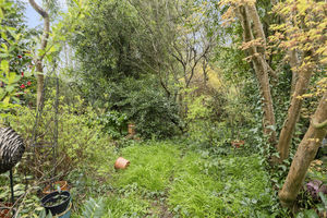 Photo 19- click for photo gallery